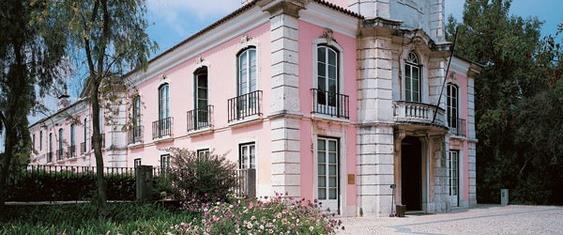 Logótipo Museu Nacional do Teatro e da Dança